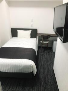 TV a/nebo společenská místnost v ubytování Shinbashi Urban Hotel