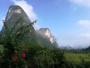 a mountain with pink flowers in a field at Pure Joy Resort in Yangshuo