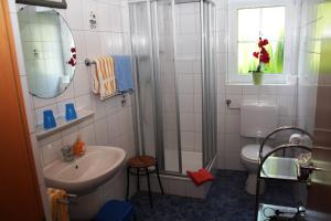 bagno con doccia, lavandino e servizi igienici di Ferienwohnung Schneemann a Valwig