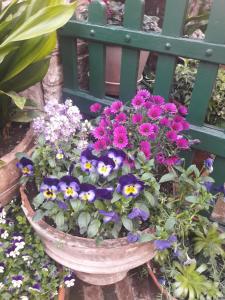 Zahrada ubytování La Viola di Assisi