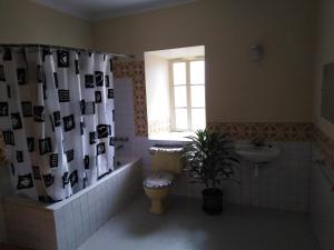 ein Badezimmer mit einem WC, einem Waschbecken und einem Duschvorhang in der Unterkunft Secret Garden in Cusco