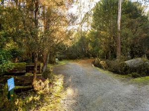 a dirt road with a bench and trees at Discovery Parks - Cradle Mountain in Cradle Mountain