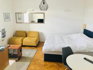 a bedroom with a bed and a chair and a mirror at Modern studio in the heart of the city in Maribor