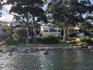 a group of ducks swimming in the water at Beachside Taroona with Spa in Sandy Bay
