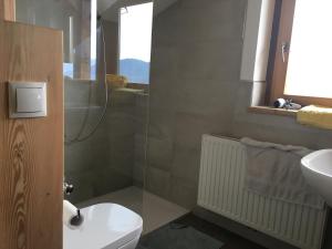 a bathroom with a shower and a toilet and a sink at Gruberhof in San Genesio Atesino +51 photos