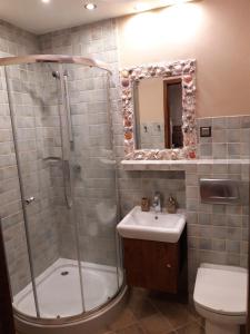 a bathroom with a shower and a sink and a toilet at Apartament Fala Bryza in Jurata