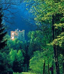 a building in the middle of a forest of trees at Landhaus Beim Joaser in Schwangau