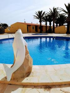 Piscina en o cerca de Apartamento con piscina y terraza en Ciutadella, Cala en Blanes