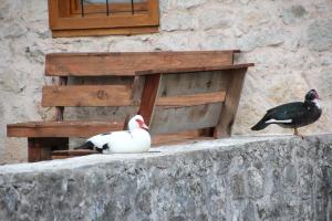 Gallery image of Heritage House Konak in Stolac