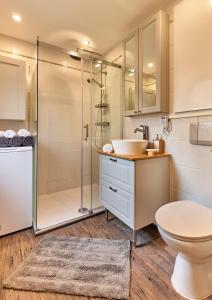 La salle de bains est pourvue d'une douche, de toilettes et d'un lavabo. dans l'établissement Place2be, à Grafenau