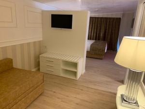 een woonkamer met een bank en een tv bij Hotel Alexander in Milano Marittima