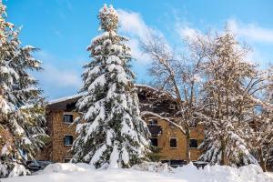 a snow covered christmas tree in front of a building at La Maison des Cèdres in Al Arz