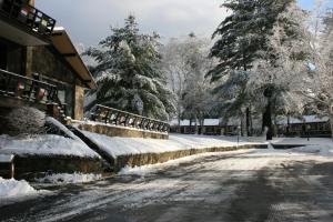 冬天的Bayside Resort, Lake George NY