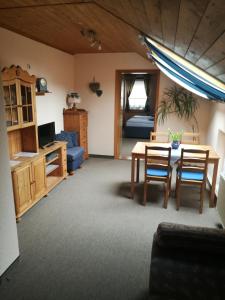 TV a/nebo společenská místnost v ubytování Elbhangzimmer Dresden
