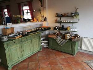 Cucina o angolo cottura di Elbhangzimmer Dresden