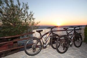 Ciclismo em Hotel Sardi ou nos arredores