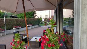 Zahrada ubytování Albergo Al Cacciatore