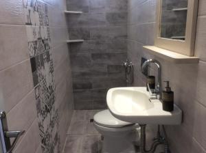 邁薩納的住宿－波比別墅公寓，一间带卫生间和水槽的浴室