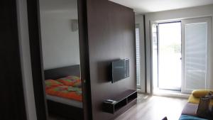 TV a/nebo společenská místnost v ubytování Apartmany pri lese
