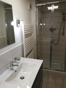 a bathroom with a white sink and a shower at Elbhangzimmer Dresden in Dresden