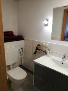 Bagno di Elbhangzimmer Dresden