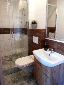 a bathroom with a toilet and a sink and a shower at City Sopot Pokoje i Apartamenty in Sopot