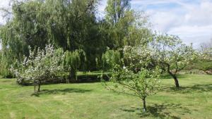 Jardín al aire libre en Le Clos des Roses