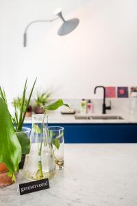 a kitchen counter with two glasses of water and plants at Wolken en Zout in Bredene