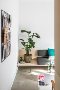 a living room with a potted plant on a shelf at Wolken en Zout in Bredene