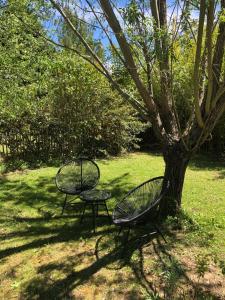 ソルマーヌ・ド・ボークリューズにあるLes cabanes de Vallis Clausaの木の横の椅子2脚とテーブル