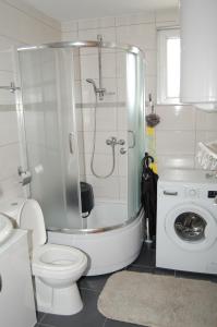 La salle de bains est pourvue d'une douche, de toilettes et d'un lavabo. dans l'établissement Jelena, à Banja Koviljača