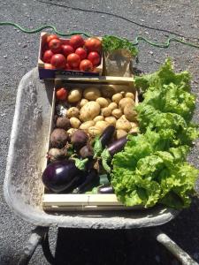 ein Tablett mit Gemüse auf einem Tisch in der Unterkunft gite de beletou in Jourgnac