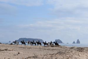 埃斯塔蒂特的住宿－Casa Rural Hípica Mas Paguina，一群人在海滩上骑马