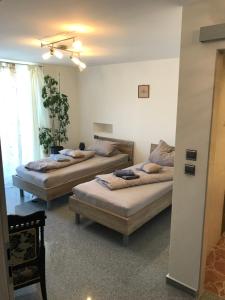 黑马戈尔Apartment Ereiz的一间房间里有两张床的卧室
