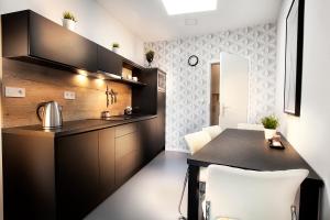 Kuchyňa alebo kuchynka v ubytovaní Apartmány Ladná