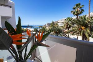 Balcon ou terrasse dans l'établissement Apartamentos Miami Gran Canaria