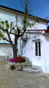 a white house with a tree and flowers in front of it at Rooms Hodanić in Krk