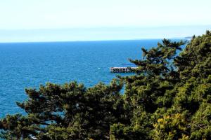 a house in the middle of a large body of water at Guest house Romanadze in Kobuleti