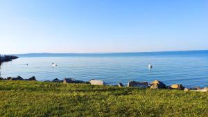 Gallery image of Grátisz Apartman Siófok in Siófok