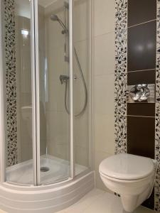 a bathroom with a shower and a toilet at H Central Apartment in Hévíz