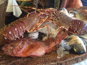 a lobster sitting on a table with other fish at Hôtel Le Porquerollais in Porquerolles