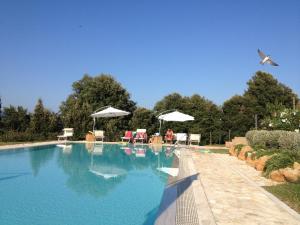 a large swimming pool with chairs and umbrellas at Donzellino in Massa Marittima