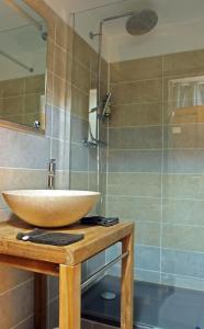ein Bad mit einem Waschbecken und einer Dusche in der Unterkunft LOGIS HOTEL - Auberge de l'Hélix in Rosoy