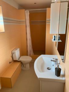 łazienka z toaletą i umywalką w obiekcie Apartmány Dimitra w Štúrovie