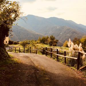 ジェノヴァにあるLocanda del Sale Affittacamereの塀と山を背景とした未舗装道路