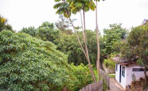 une maison au milieu d'une forêt avec des palmiers dans l'établissement Suíte privada no meio da natureza serrana., à Teresópolis