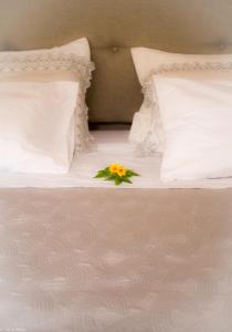 a flower is sitting on top of a bed at Suíte privada no meio da natureza serrana. in Teresópolis