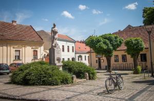 Afbeelding uit fotogalerij van Keltaur Studio Apartman with garage in Pécs