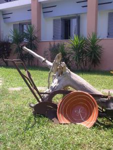 a uprooted tree laying on the grass in a yard at Violetta in Kamena Vourla