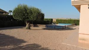 un árbol frente a una valla con piscina en Hl 030 · HL030 luxurious villa, HDA golf resort en Fuente Alamo